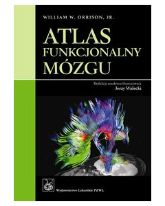 Atlas funkcjonalny mózgu
