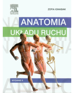 Anatomia układu ruchu