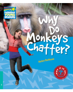 Why Do Monkeys Chatter? 5 Factbook