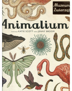 Animalium muzeum zwierząt wyd. 3