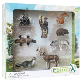 Collecta Zestaw 8 zwierząt leśnych