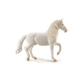 Koń Camarillo Biały