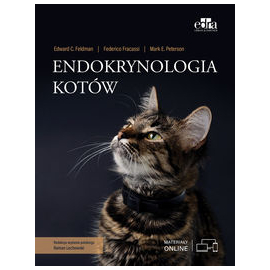 Endokrynologia kotów