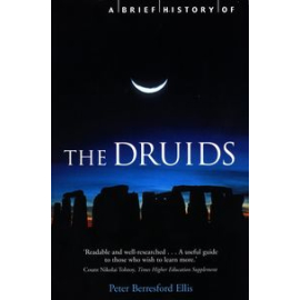 	A Brief History of the Druids