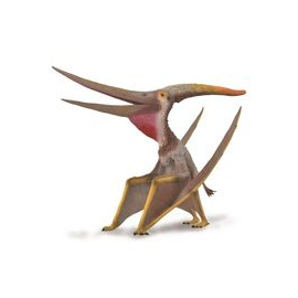 Pteranodon 1:15