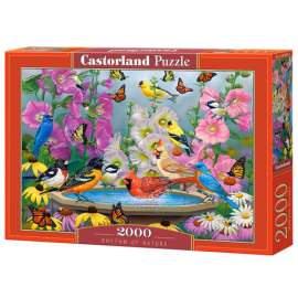 Puzzle 2000 Rhythm of Nature