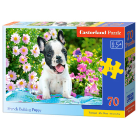 Puzzle French Bulldog Puppy 70