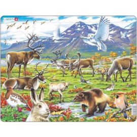 Układanka Flora i fauna arktycznej tundry 50 elementów