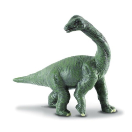 Dinozaur młody Brachiozaur