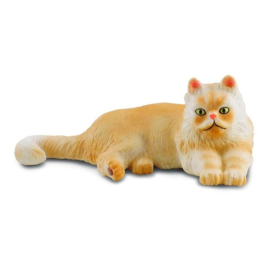 Kot perski leżący