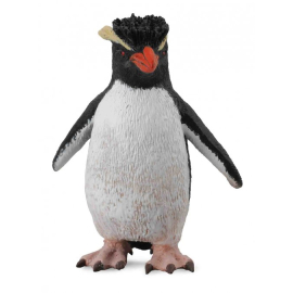 Pingwin rockhopper