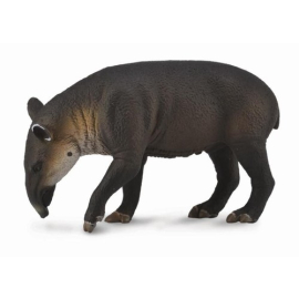 Tapir Bairda L