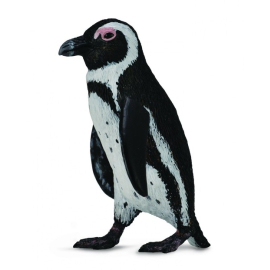 Pingwin przylądkowy S