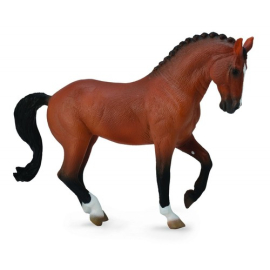 Koń Hanowerski Gniady XL