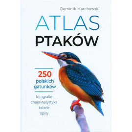 Atlas ptaków