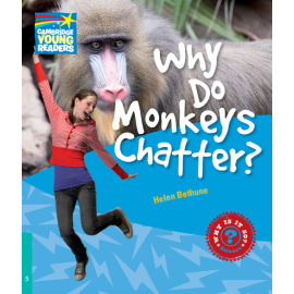 Why Do Monkeys Chatter? 5 Factbook