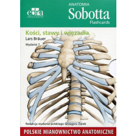 Anatomia Sobotta Flashcards Kości stawy i więzadła
