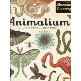 Animalium muzeum zwierząt wyd. 3