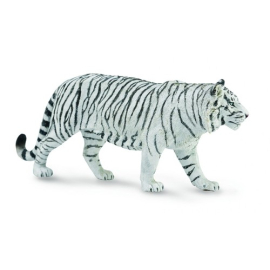 Tygrys biały XL