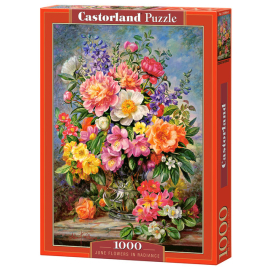 Puzzle 1000 June Flowers in Radiance