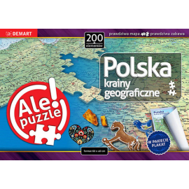 Puzzle 200 Polska Krainy geograficzne