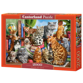Puzzle 2000 House of Cats