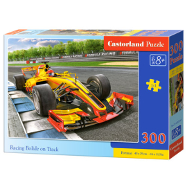 Puzzle Racing Bolide on Track 300