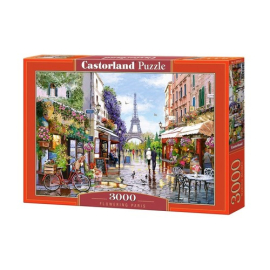 Puzzle 3000 Flowering Paris