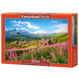 Puzzle Hala Gąsienicowa, Tatras, Poland 1000