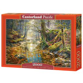 Puzzle Reminiscence of the Autumn Forest 2000