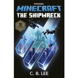 Minecraft The Shipwreck