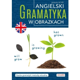 Angielski Gramatyka w obrazkach