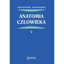 Anatomia człowieka Tom 5