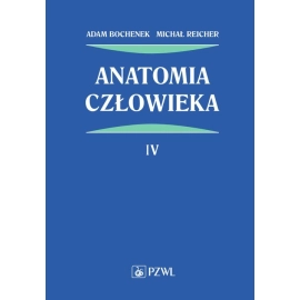 Anatomia człowieka Tom 4