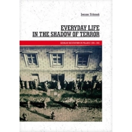Everyday Life in the Shadow of Terror