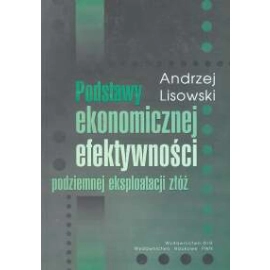 Podstawy ekonomicznej efektywności podziemnej eksploatacji złóż