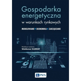 Gospodarka energetyczna w warunkach rynkowych