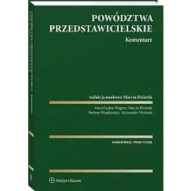 Powództwa przedstawicielskie Komentarz