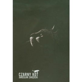 Czarny kot