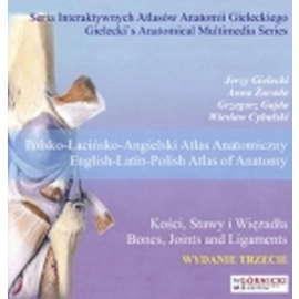 Kości, stawy i więzadła