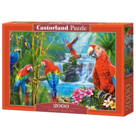 Puzzle 2000 Parrot Meeting