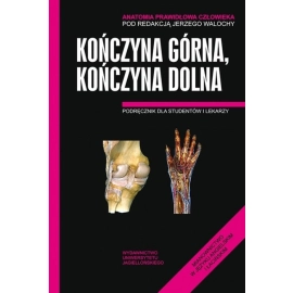 Anatomia Prawidłowa Człowieka Kończyna górna, Kończyna dolna