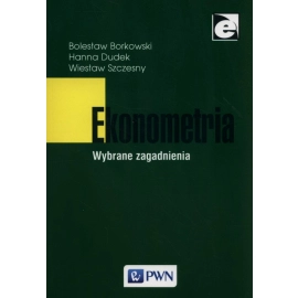 Ekonometria Wybrane zagadnienia