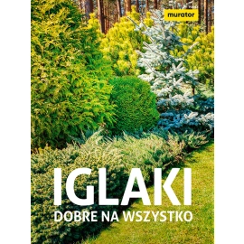 Iglaki dobre na wszystko - e-poradnik